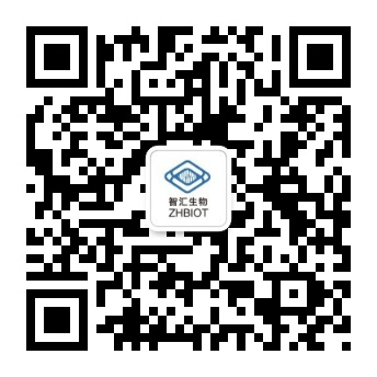深圳銳科達(dá)電子有限公司